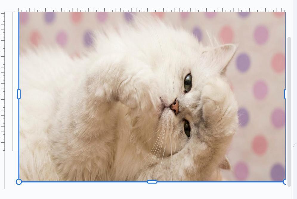 Googleスライドの画面。画像が完成した後の様子。白いペルシャ猫とピンクと紫の水玉模様の背景。